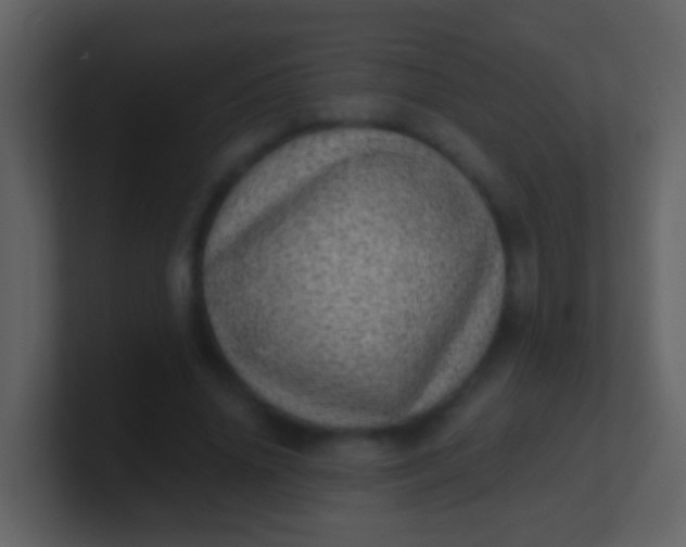 X0000100900636200807081103