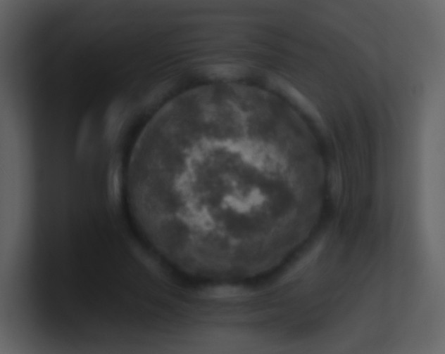 X0000100900637200807081103