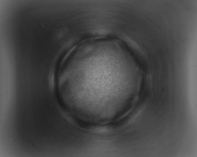 X0000100900638200807081103