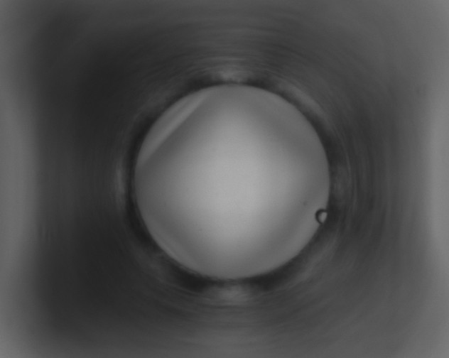 X0000100900639200807081103