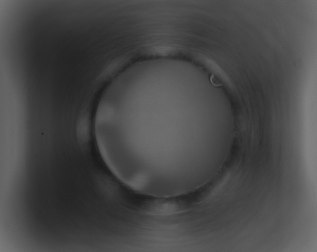 X0000100900640200807081103