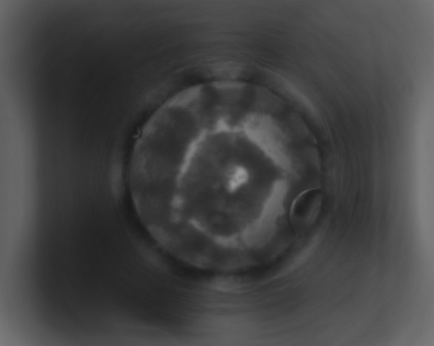 X0000100900641200807081103