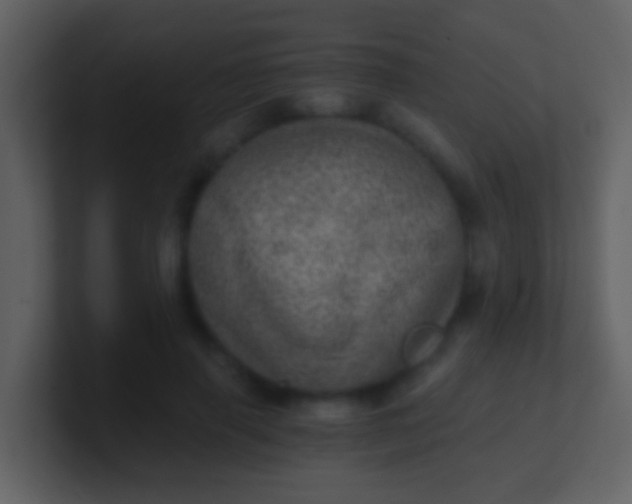 X0000100900645200807081103