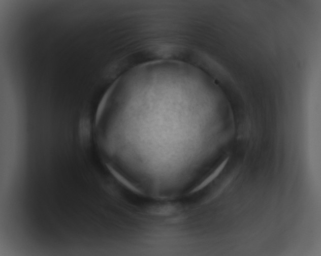 X0000100900646200807081103