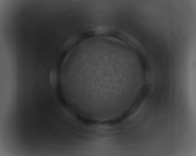 X0000100900648200807081103