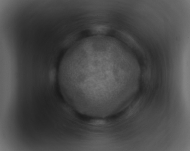 X0000100900649200807081103