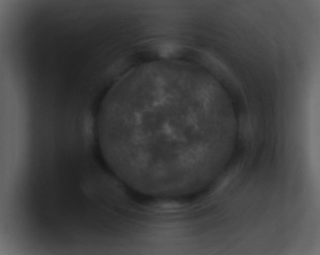 X0000100900650200807081103