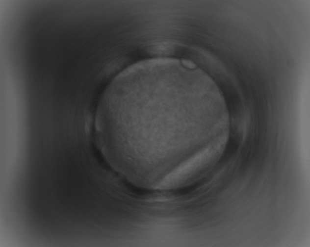 X0000100900652200807081104