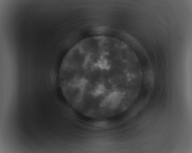 X0000100900653200807081104