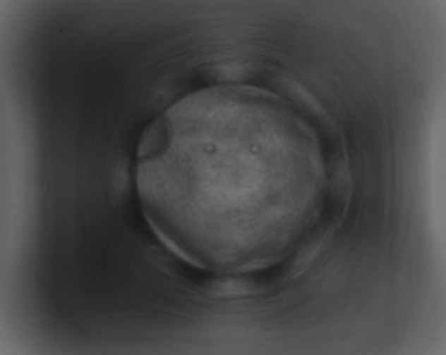 X0000100900655200807081104