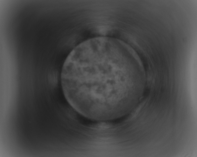 X0000100900656200807081104