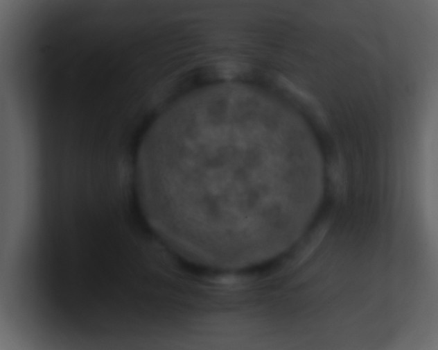 X0000100900657200807081104