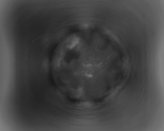 X0000100900659200807081104