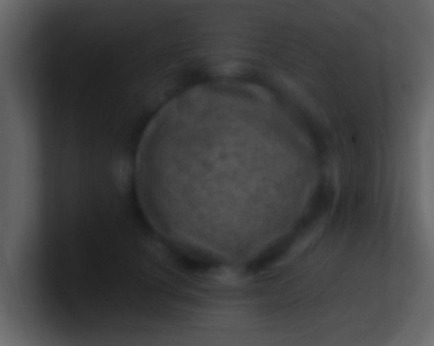 X0000100900660200807081104