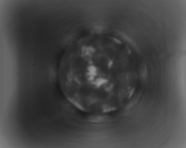 X0000100900661200807081104