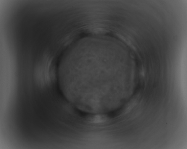 X0000100900663200807081104