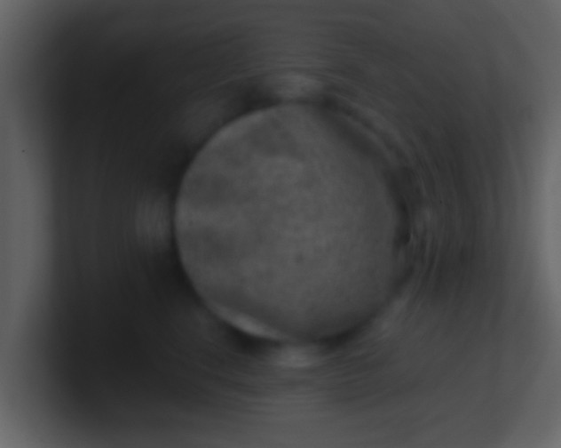 X0000100900664200807081104