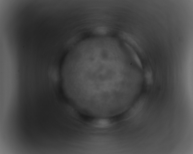 X0000100900665200807081104