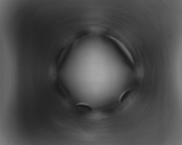 X0000100900666200807081104