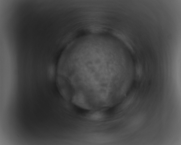 X0000100900667200807081104