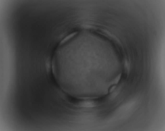 X0000100900668200807081104