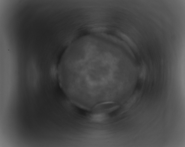 X0000100900669200807081104