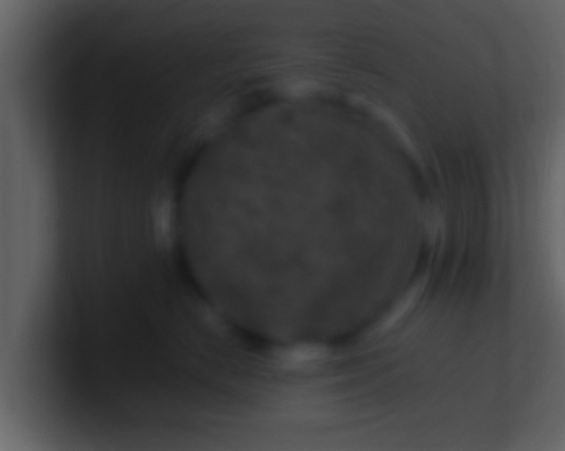 X0000100900670200807081104