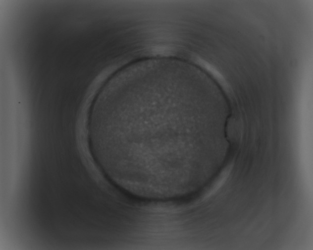 X0000100900673200807081103