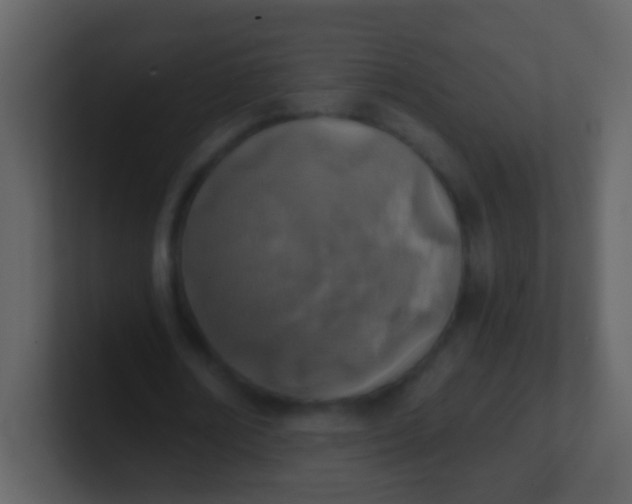 X0000100900674200807081103