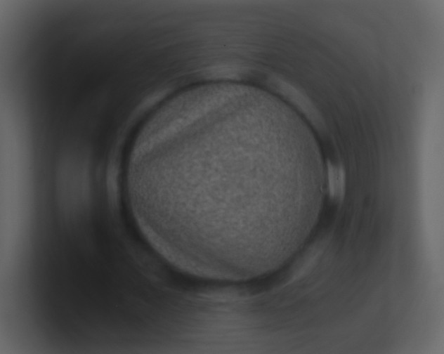 X0000100900675200807081103