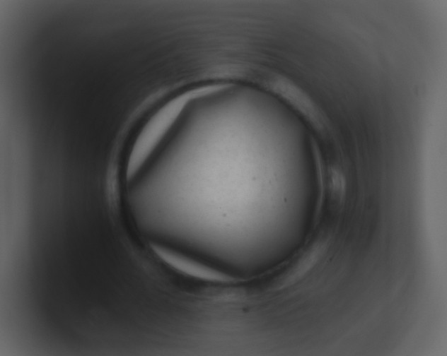 X0000100900676200807081103