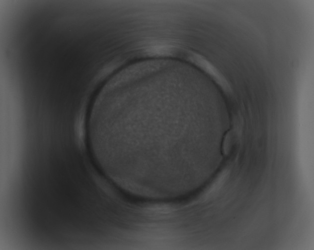 X0000100900677200807081103