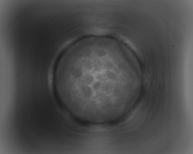 X0000100900679200807081103