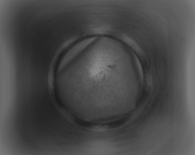 X0000100900680200807081103