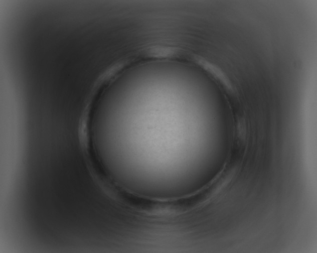 X0000100900682200807081103