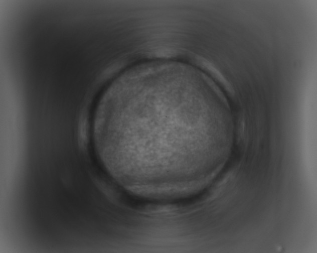 X0000100900683200807081103