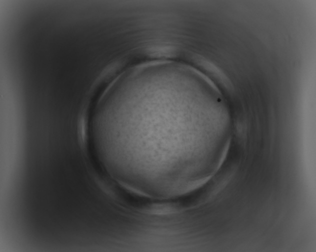 X0000100900686200807081103