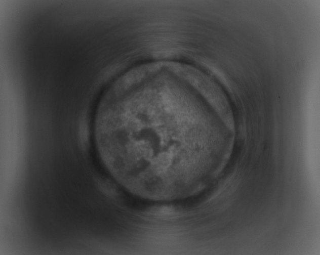 X0000100900687200807081103