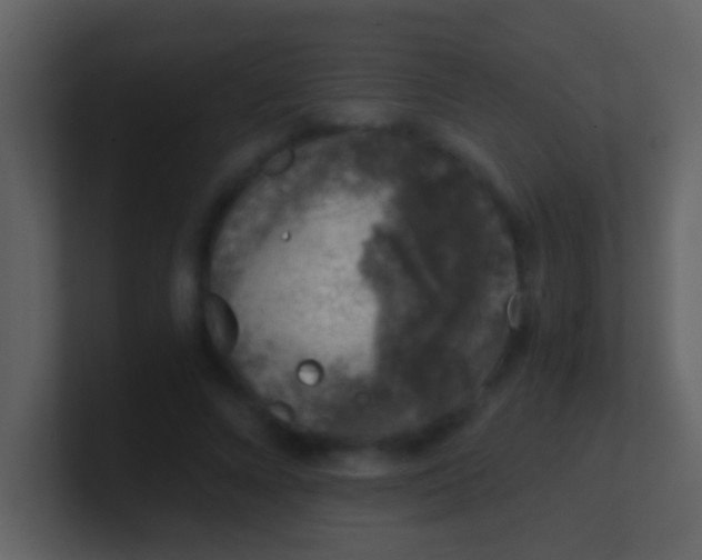 X0000100900688200807081103