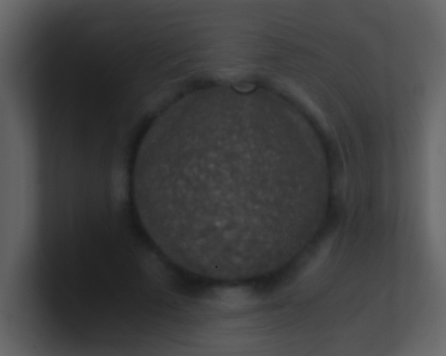 X0000100900689200807081103