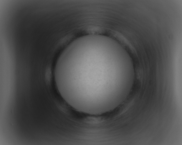 X0000100900690200807081103