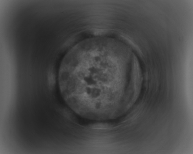 X0000100900691200807081103