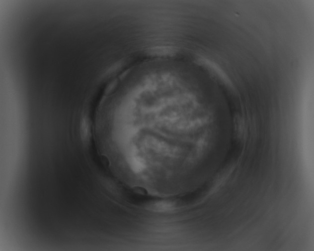 X0000100900692200807081103