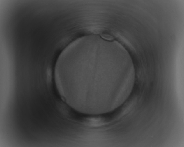 X0000100900693200807081103