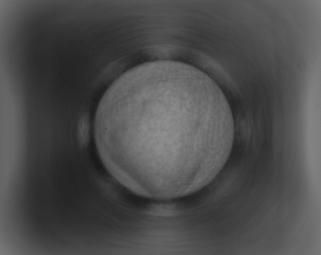 X0000100900694200807081103