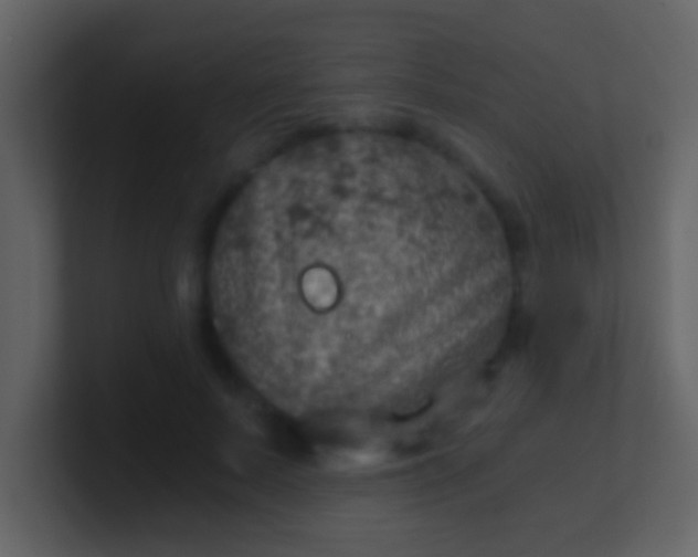 X0000100900695200807081103