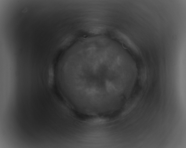 X0000100900696200807081103