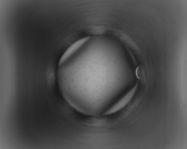 X0000100900697200807081103