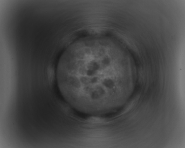 X0000100900699200807081103