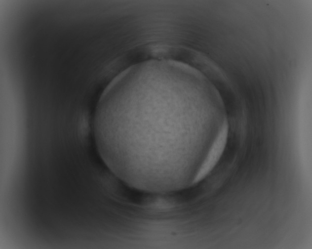 X0000100900702200807081103